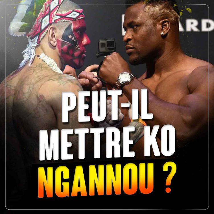 cover art for Alex Pereira : peut-il être le 1er triple champion ?
