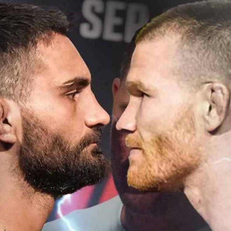 cover art for UFC 295 Benoit Saint-Denis vs Matt Frevola - ANALYSE & PRONOSTICS