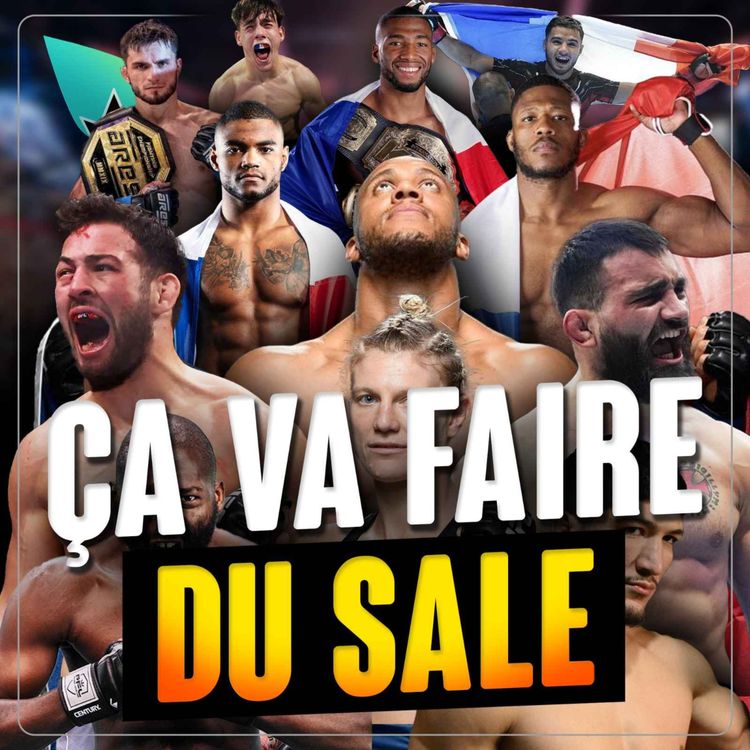 cover art for L'âge d'or du MMA Français
