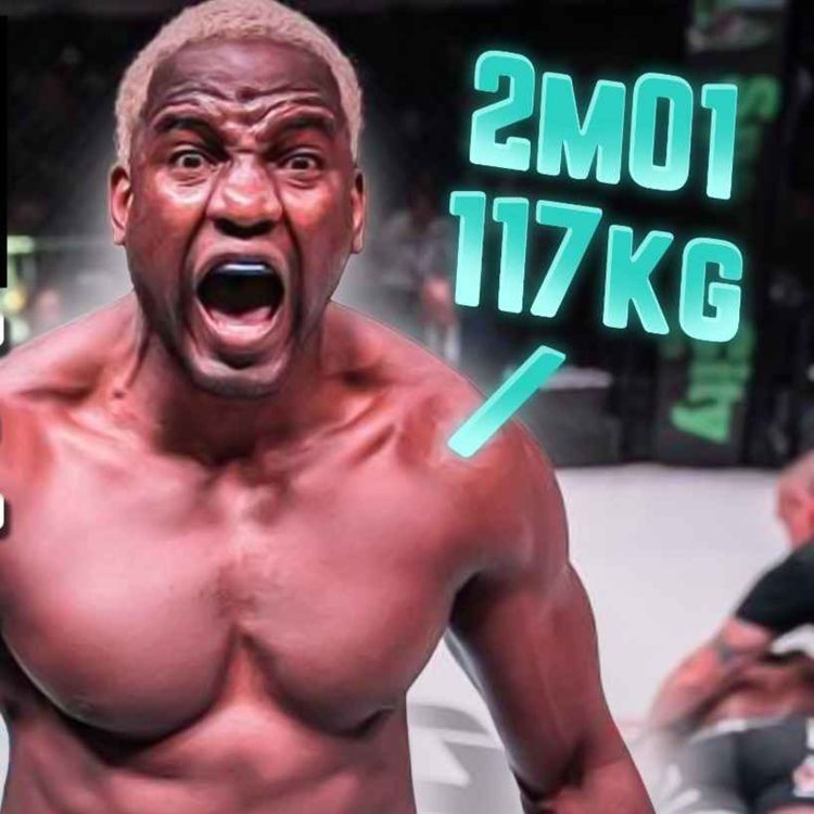 cover art for 21 secondes en 3 combats : IL SIGNE DIRECT À L'UFC !