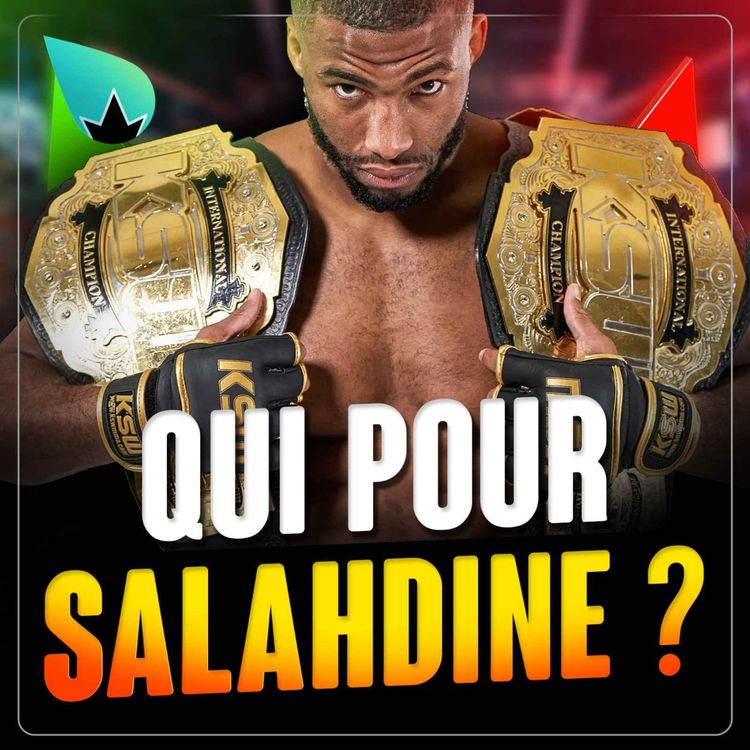 cover art for Salahdine Parnasse : QUELLE SUITE ?