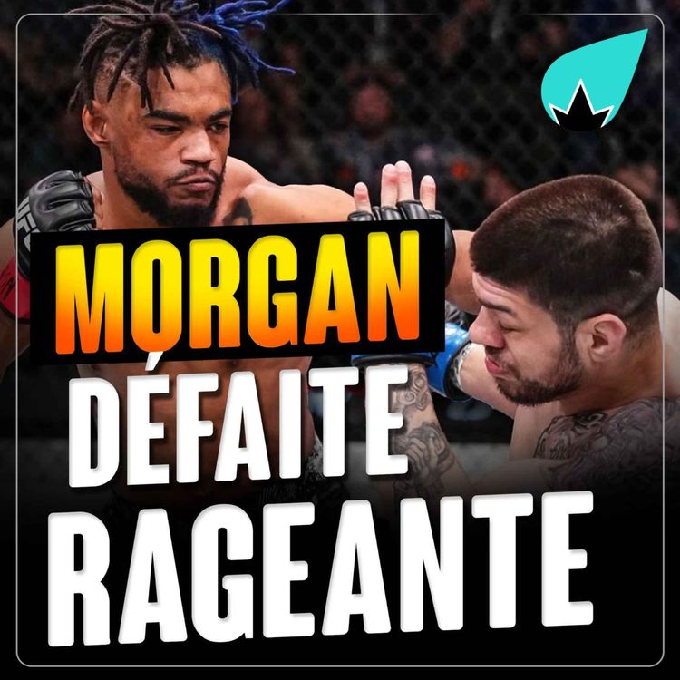 cover art for Morgan Charriere : volé ?