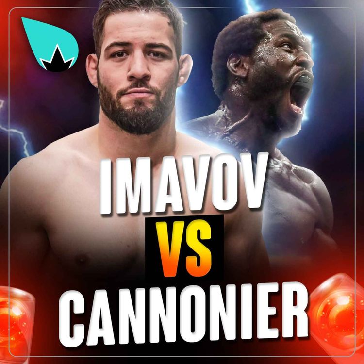 cover art for Nassourdine Imavov vs Jared Cannonier !