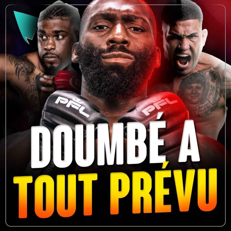 cover art for Le plan de Cédric Doumbé