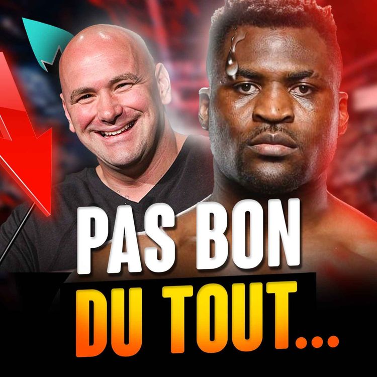 cover art for Francis Ngannou vs Renan Ferreira : les chiffres sont tombés