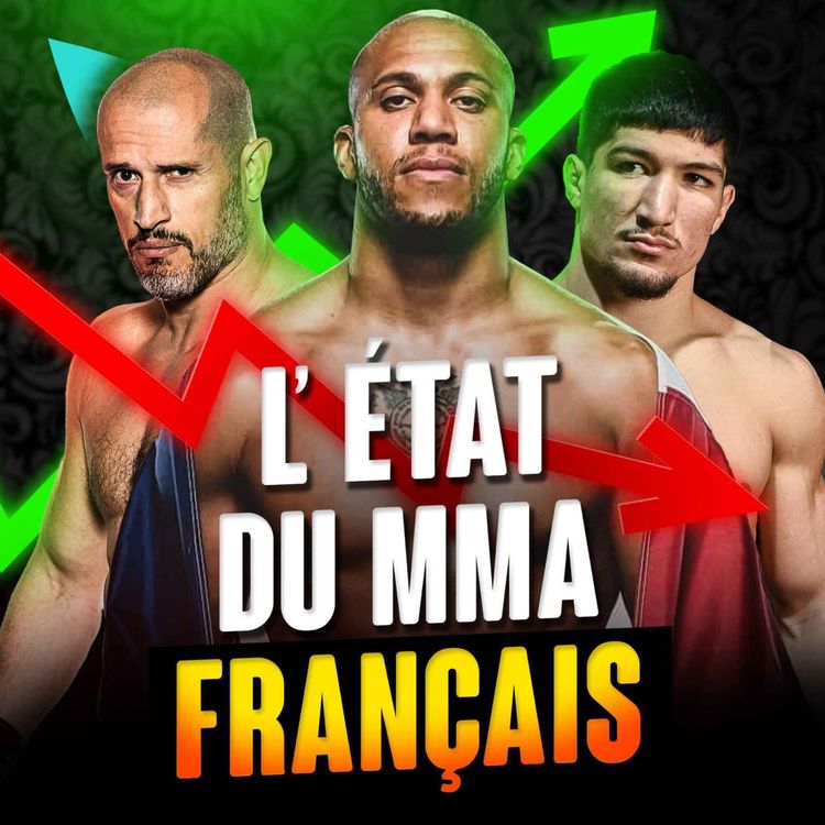 cover art for L'état du MMA Français