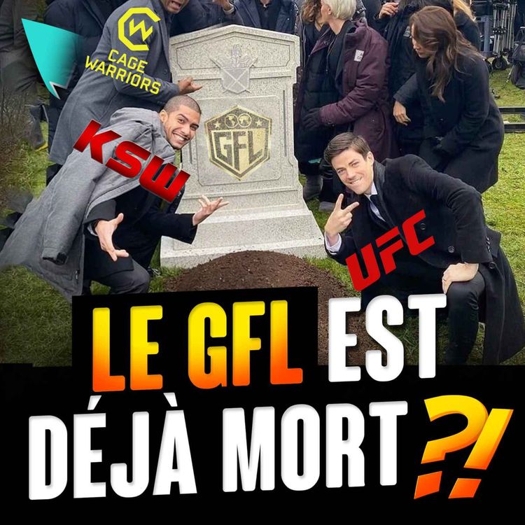 cover art for Le MMA en recession ?