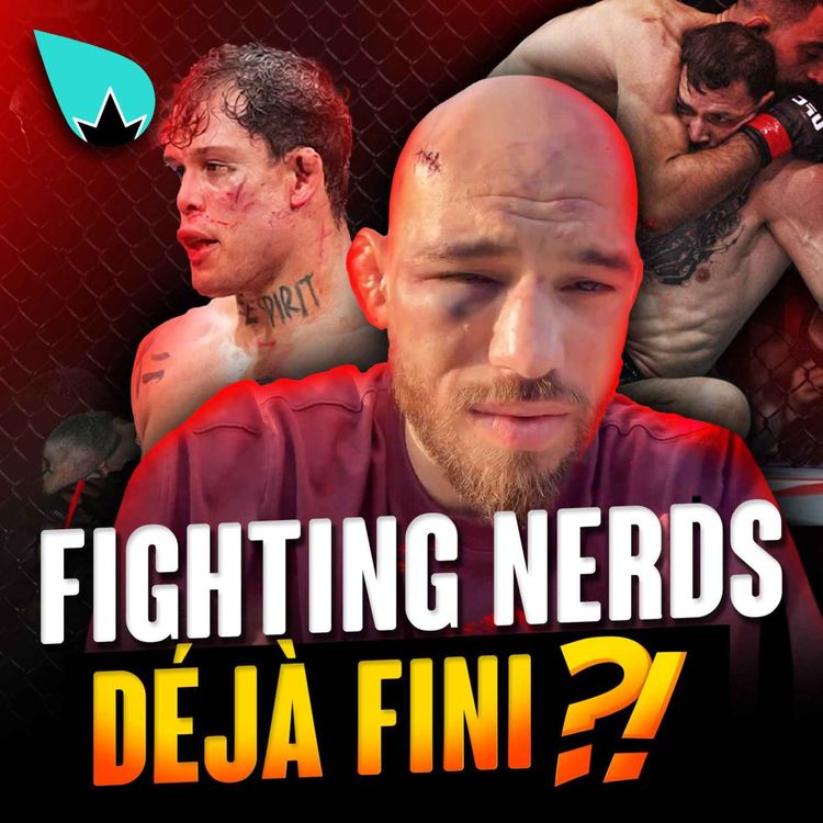 cover art for Fighting Nerds & le cas Jean Silva : Frauduleux ?