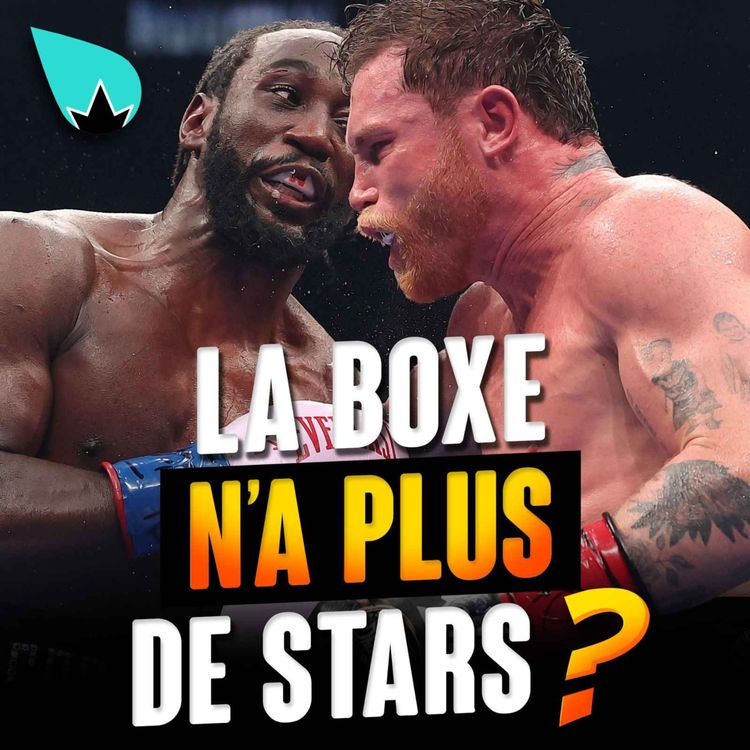 cover art for Canelo vs Crawford : LES CHIFFRES SONT TOMBÉS
