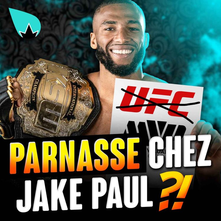 cover art for Salahdine Parnasse : LA GROSSE SIGNATURE ?