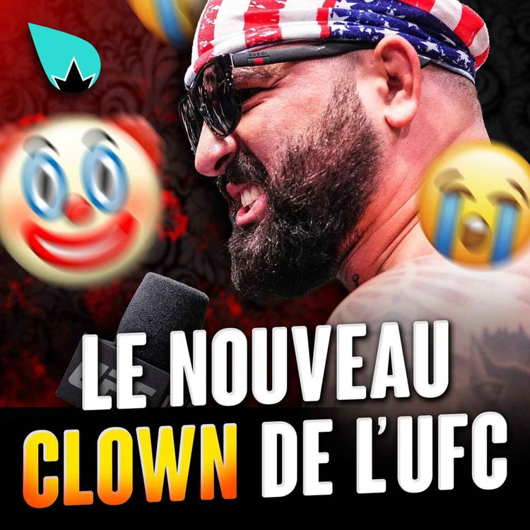 cover art for Le mystère Josh Hokit