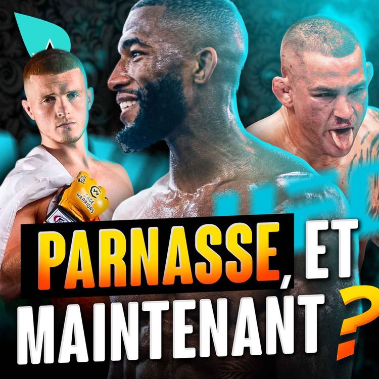 cover art for Salahdine Parnasse : que faire ?