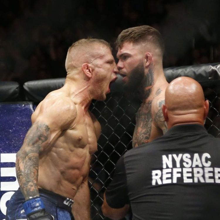 cover art for José Aldo toujours en vie, Poirier taille patron & Preview UFC 227 | Podcast La Sueur