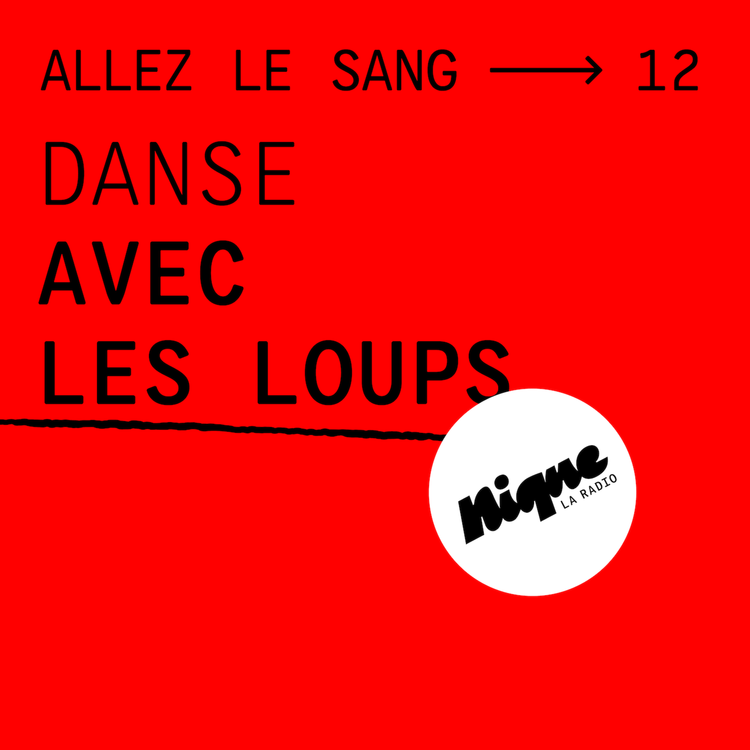 cover art for Danse avec les loups