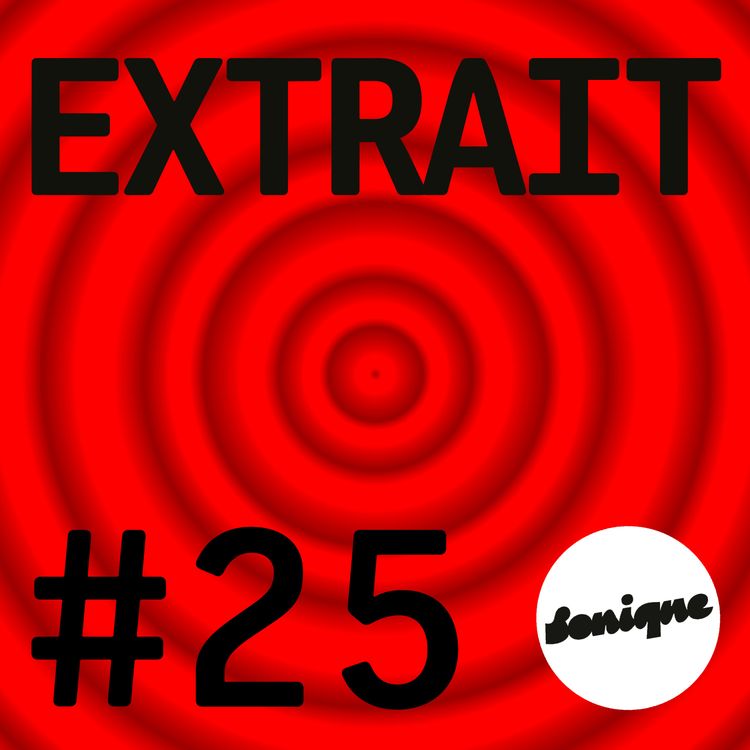 cover art for EXTRAIT - Le kink de Déborah : Martha Stewart, une icône américaine