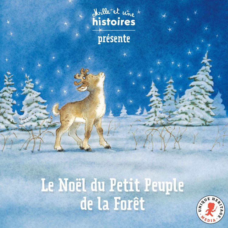 cover art for Le Noël du Petit Peuple de la forêt, épisode 4 : Monsieur Leprechaun