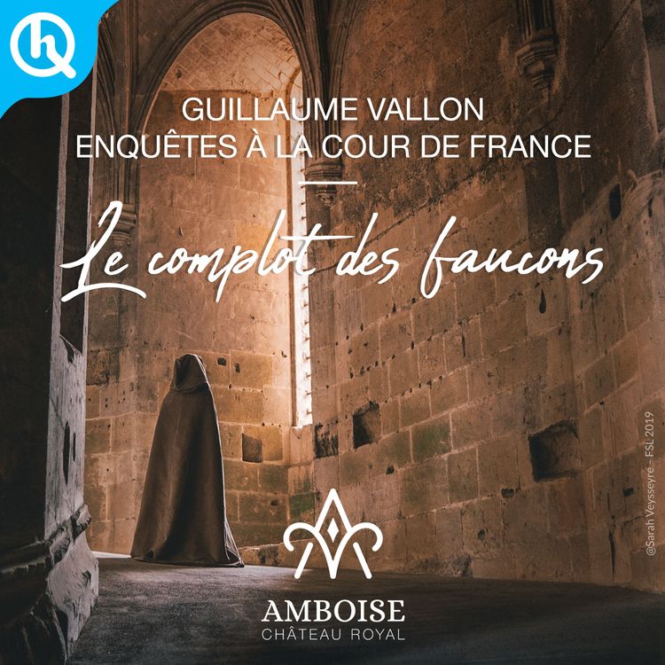 cover art for Le complot des faucons