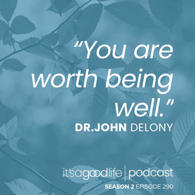 cover art for S2E290 How to Build a Non-Anxious Life with Dr. John Delony