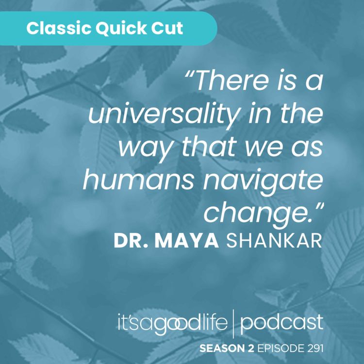 cover art for Quick Cut: S2E291 A Slight Change of Plans with Dr. Maya Shankar