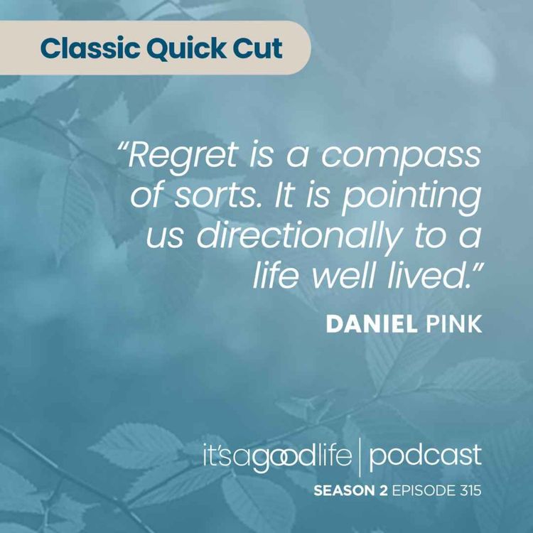 cover art for Quick Cut: S2E315 The Power of Regret - an Interview with Daniel Pink