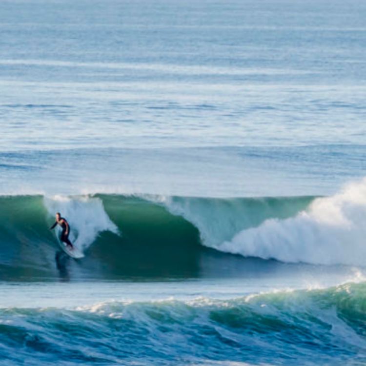 cover art for Quelles solutions pour nos océans ? 