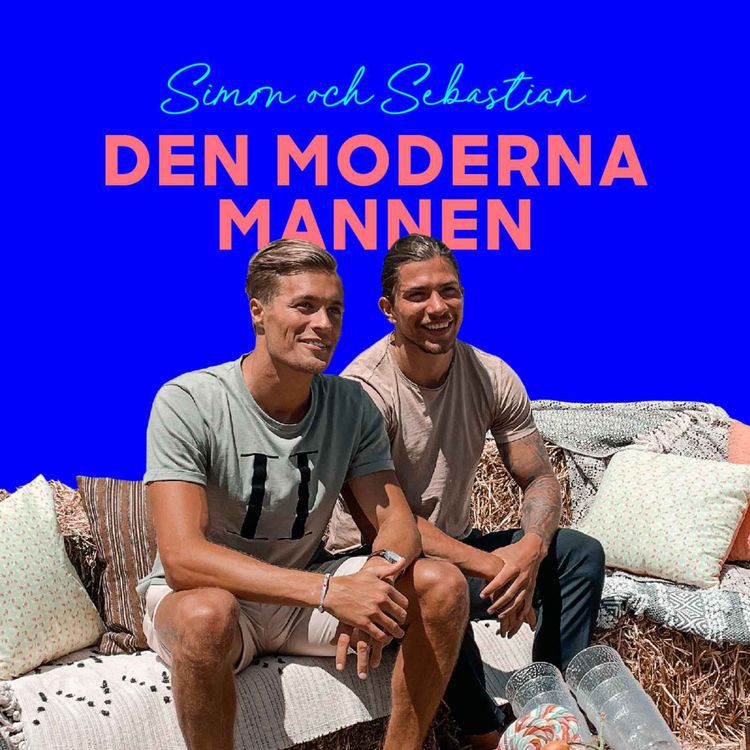 cover art for 2. Den perfekta dejten