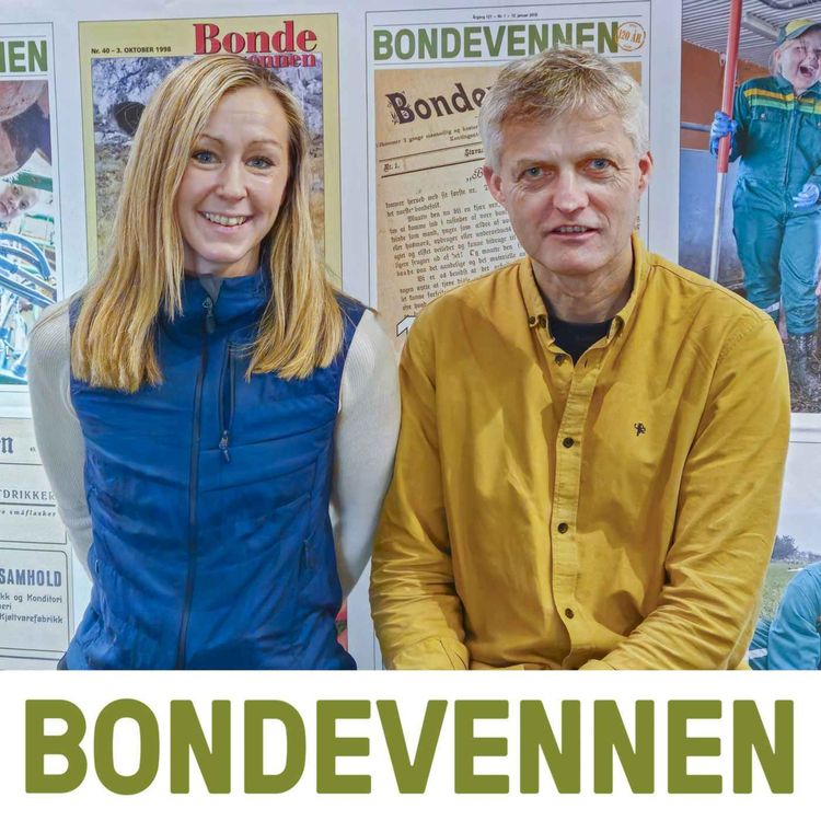 cover art for Hva gjør vi med trillingsøya?