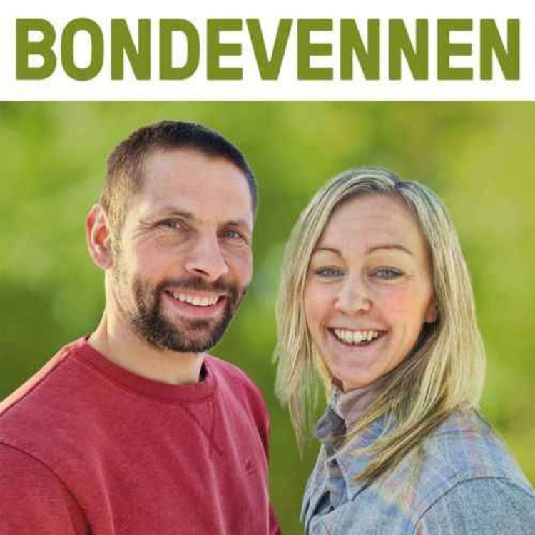 cover art for En ekstra slått – verdt det? (REPRISE)