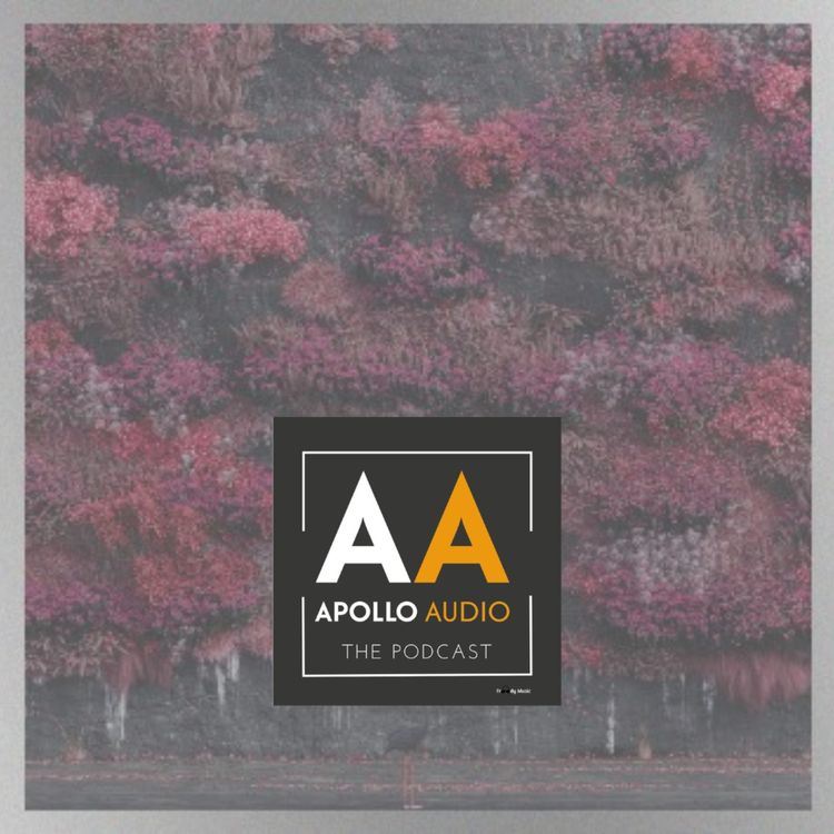 cover art for We've got an offering - Even in Arcadia