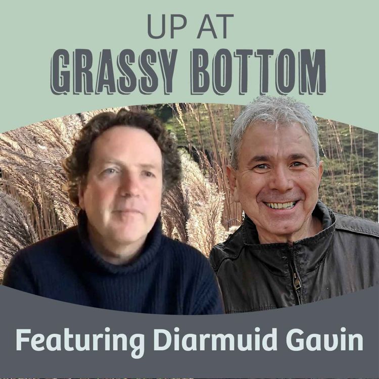 cover art for A talk with Diarmuid Gavin