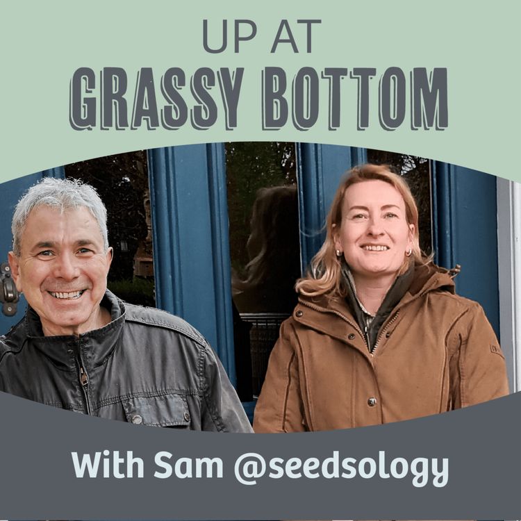 cover art for A chat with Sam from Seedsology 