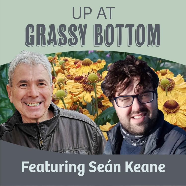 cover art for A talk on all things pollinators and more with Sean Keane @thepollinatorgardener