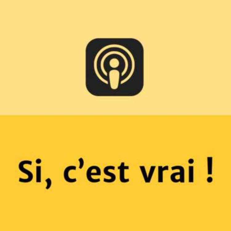 cover art for Si c'est vrai ! - Peut-on recycler tous les plastiques ?