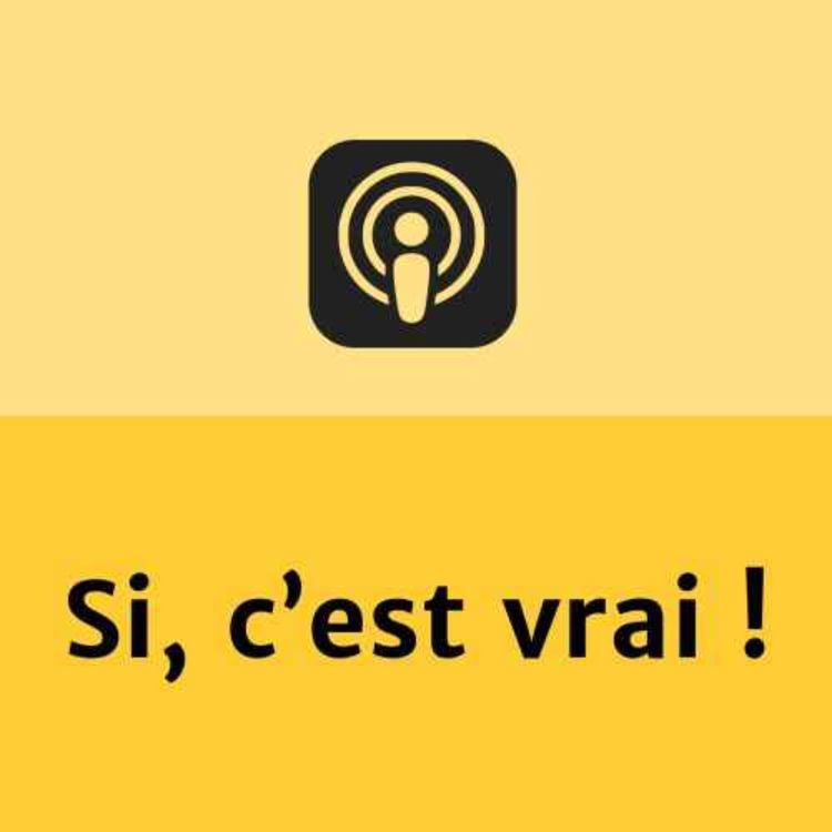 cover art for Si c'est vrai ! - Une autre vie est-elle possible ?