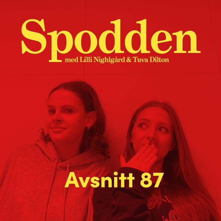 cover art for 87: Tiktok-krig och pick me tjejer!