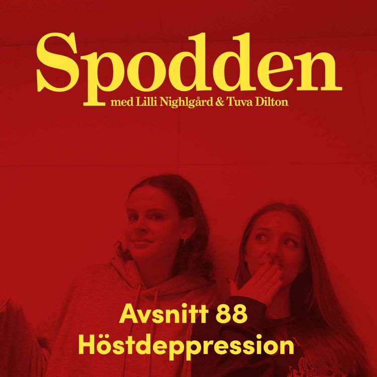 cover art for 88: Höstdeppression