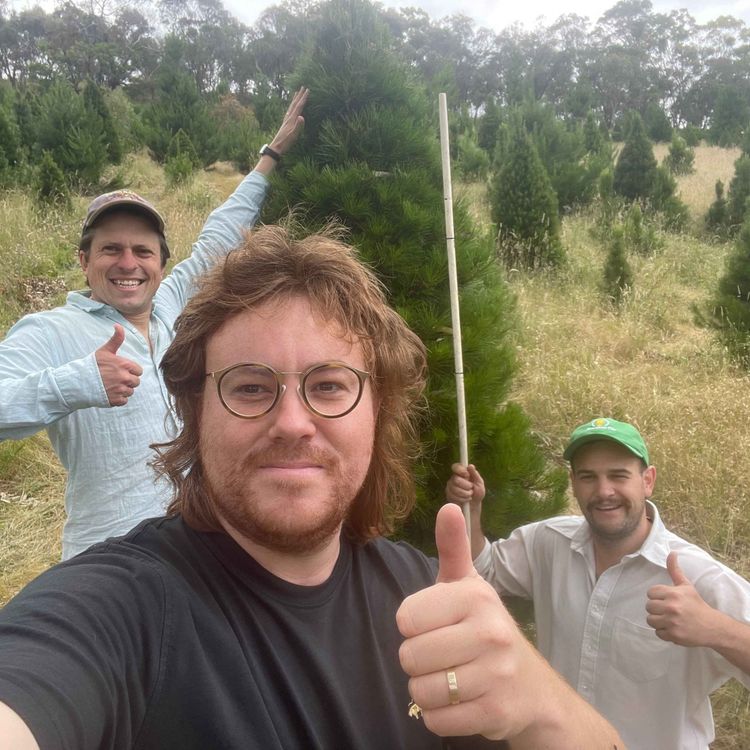 cover art for A special Christmas announcement