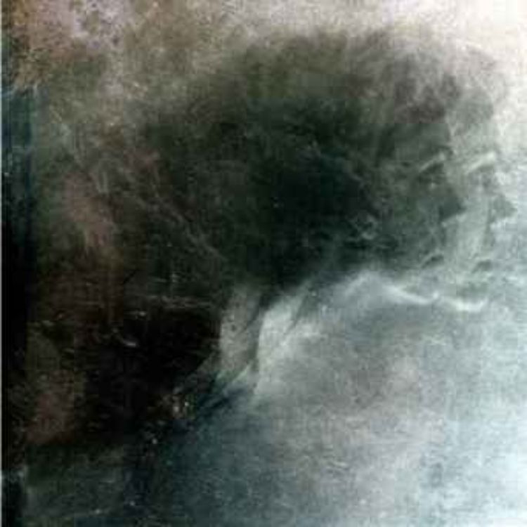 cover art for Your own reality and beyond it