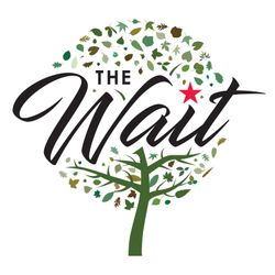 cover art for The Wait
