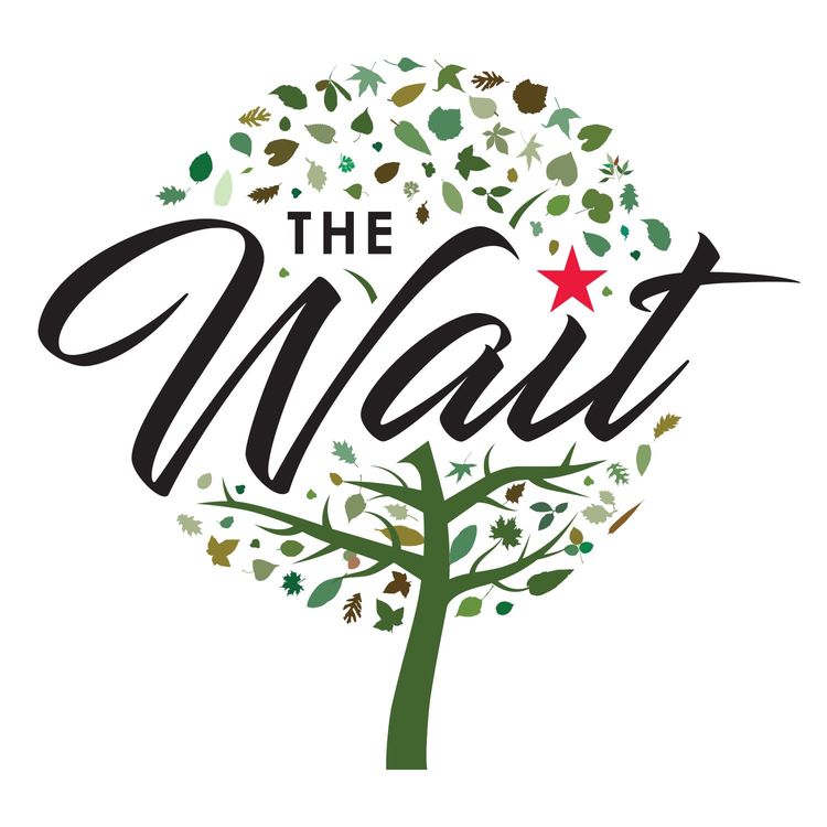 cover art for Episode 2: Foster care: The bigger picture