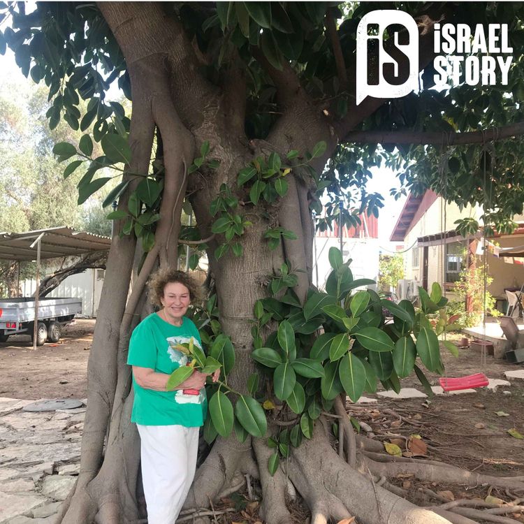 cover art for 116: Wartime Diaries - Agi Mishol