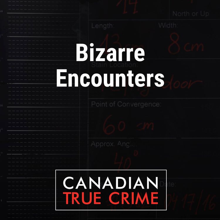 cover art for Bizarre Encounters