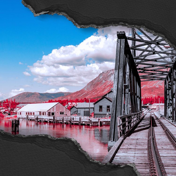 cover art for The Murder of Maranda Shelly Peter