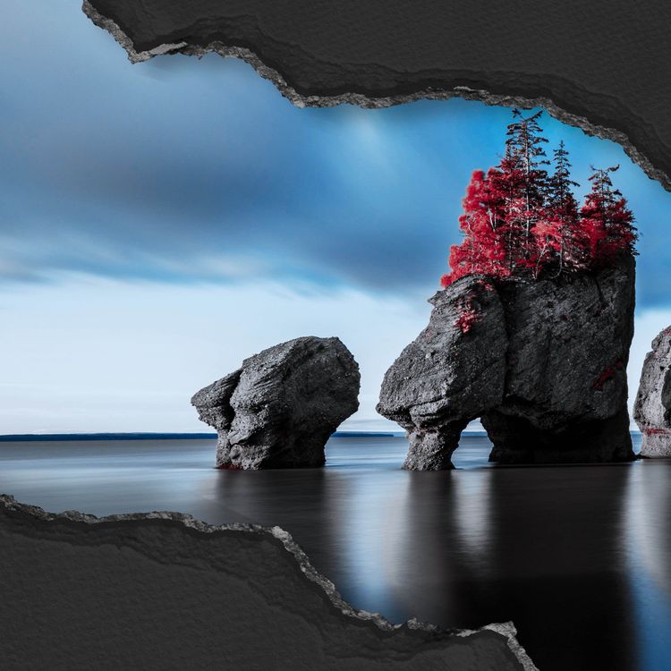 cover art for The Crimes of Noel Winters