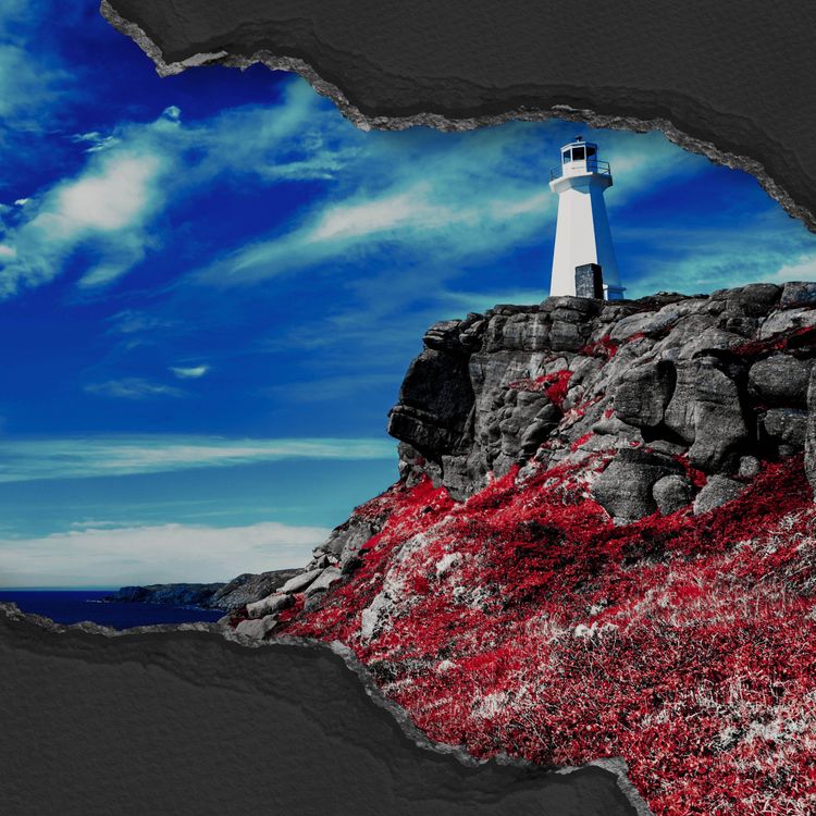 cover art for The Murder of Samantha Walsh