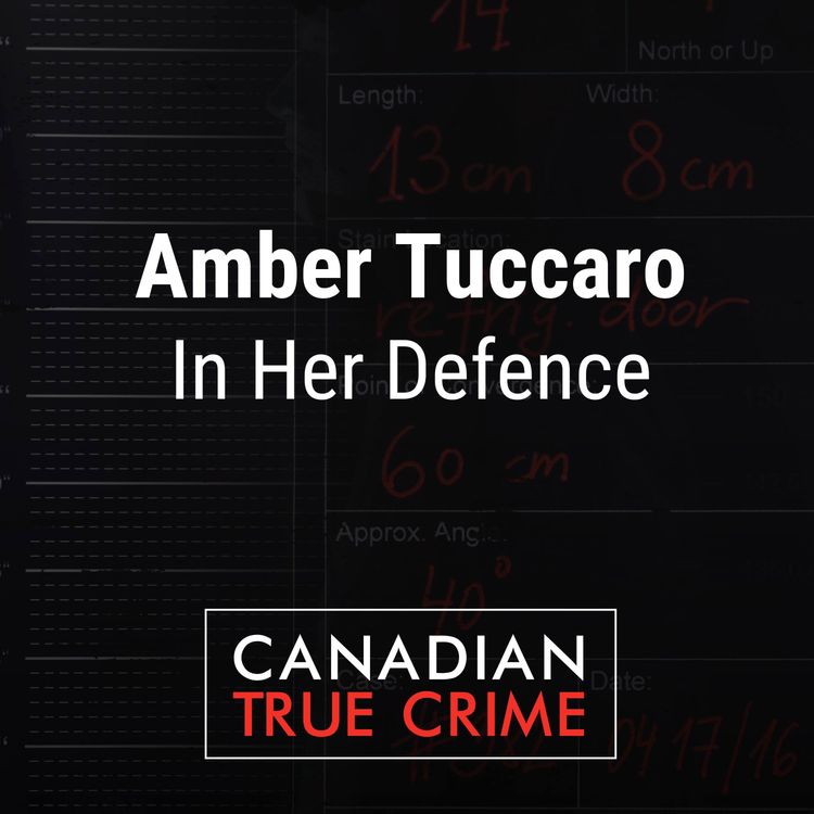 cover art for Amber Tuccaro: In Her Defence