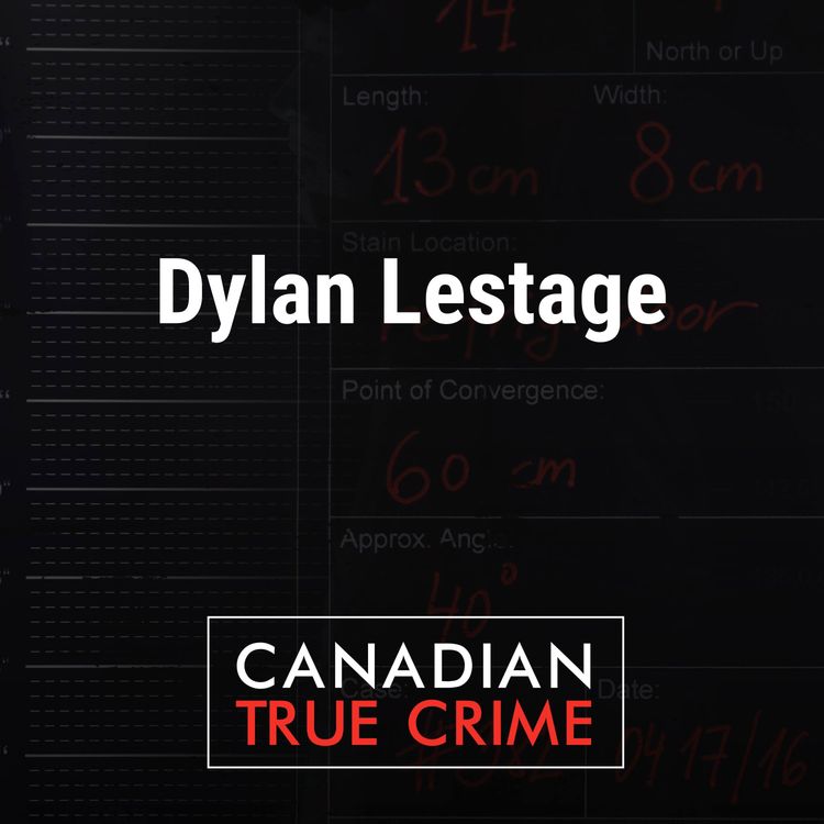 cover art for Dylan Lestage