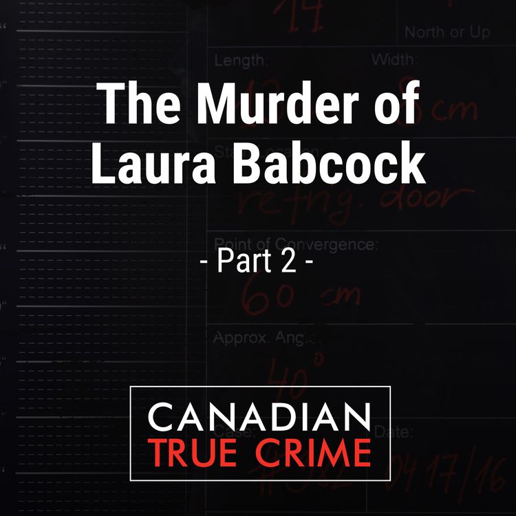 cover art for The Murder of Laura Babcock [2]