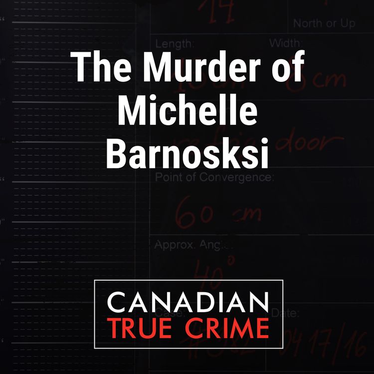 cover art for The Murder of Michelle Barnoski