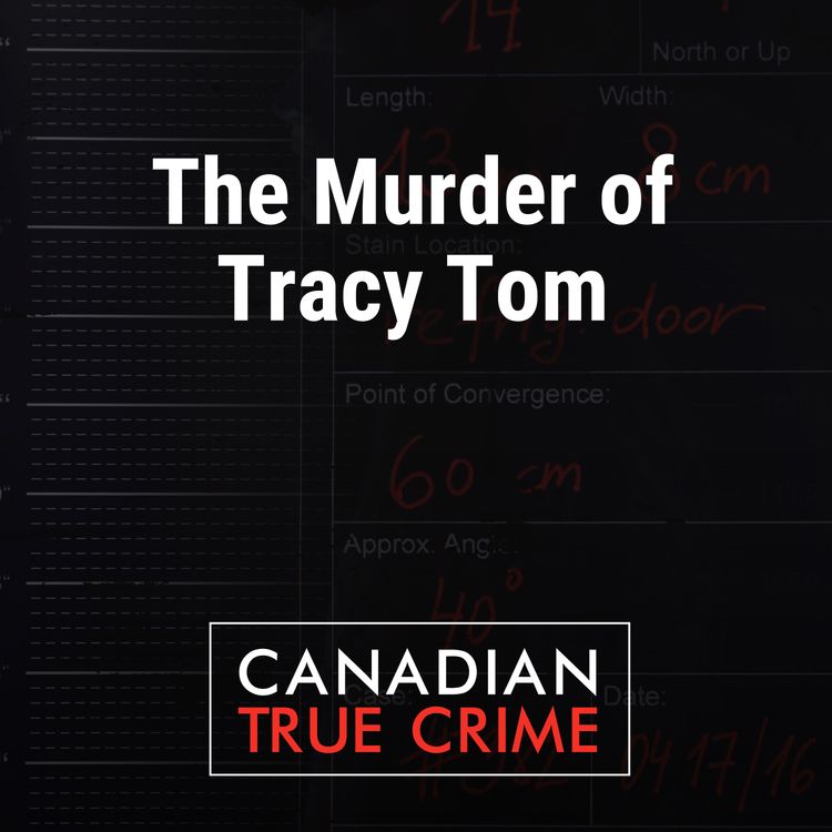 cover art for The Murder of Tracy Tom